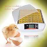 Befied Inkubator Brutmaschine Incubator Flächenbrüter für bis zu 56 Eier Inkubator
