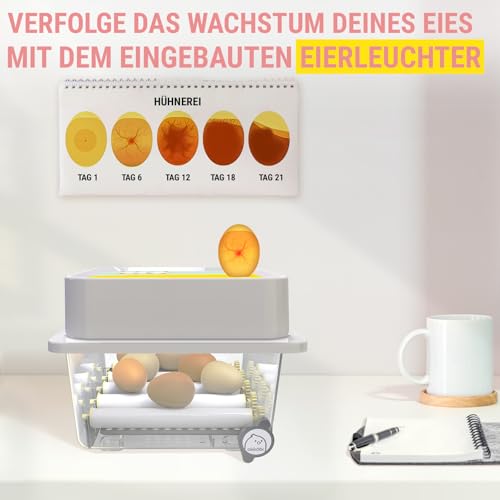 Okköbi OBI-12 Brutautomat für Hühner und Enten - 3