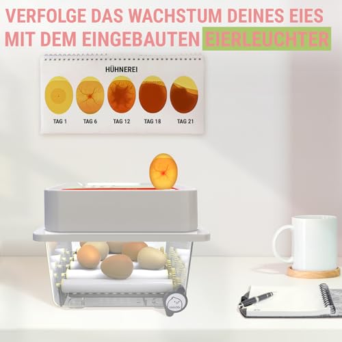 Okköbi Brutautomat für 12 Eier - 4