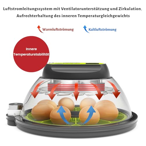 TRIOCOTTAGE Brutautomat für 8 Eier - 2