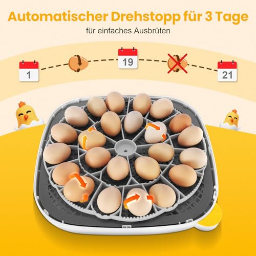Sailnovo Brutautomat für 24 Eier - 6