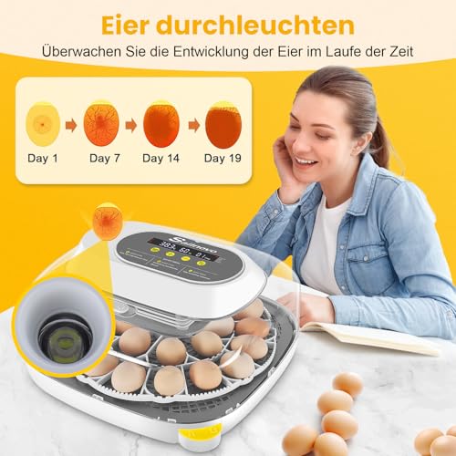 Sailnovo Brutautomat für 24 Eier - 7