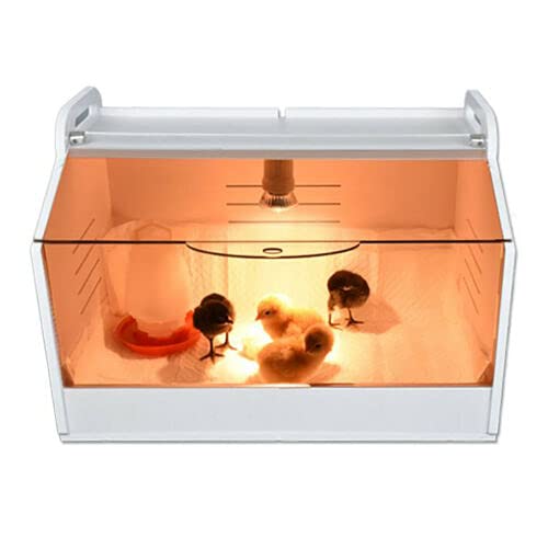 Brutinkubator Kükenwärmebox