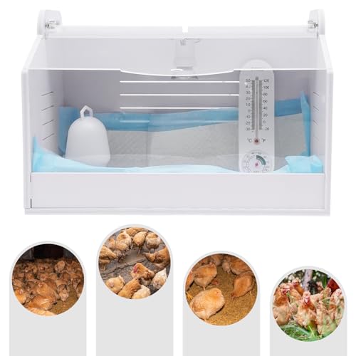 Brutinkubator Kükenwärmebox - 3