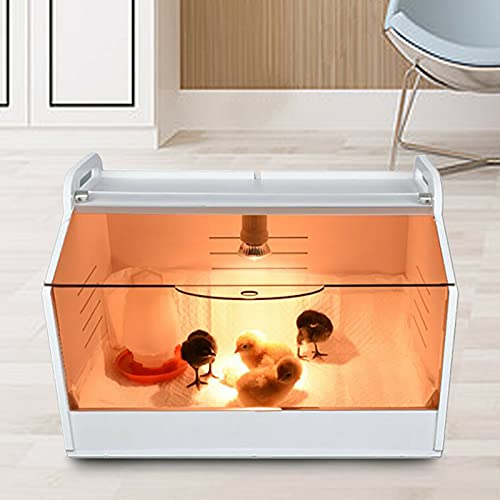 220V Brutinkubator - 5