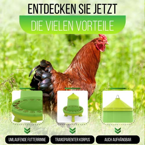 Futterautomat mit Füßen - 6