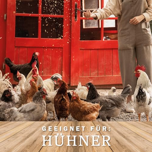 Legenester für Hühner Grau – 3 Stück - 4