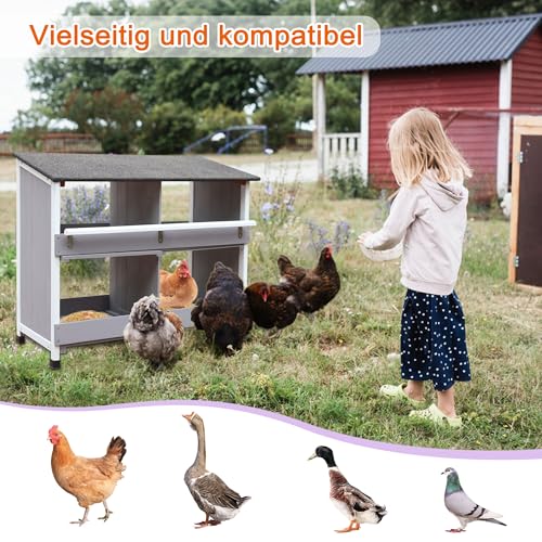 Legenester für Hühner mit geneigtem Boden - 6