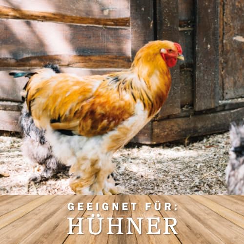 MeineHennen MyCozynest Legenest für Hühner - 4