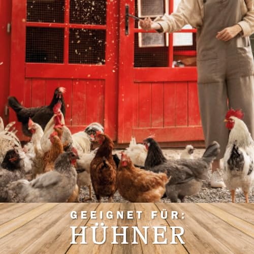 MeineHennen MyCozynest Legenest für Hühner - 5