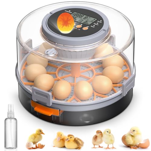 Rsaoty Brutautomat für 12 Eier