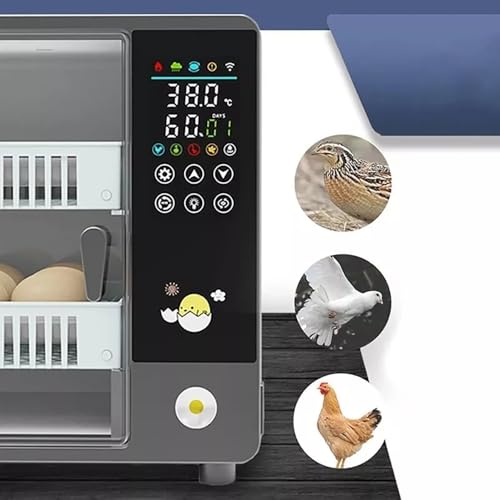 NEWFUN Brutautomat für 24 Eier - 2