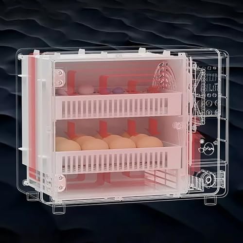NEWFUN Brutautomat für 24 Eier - 7