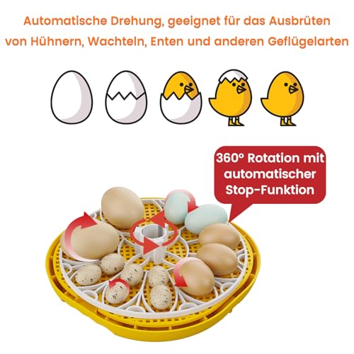 TRIOCOTTAGE Brutautomat für 12 Eier - 3
