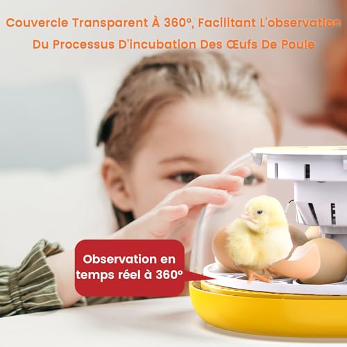 TRIOCOTTAGE Brutautomat für 12 Eier - 6
