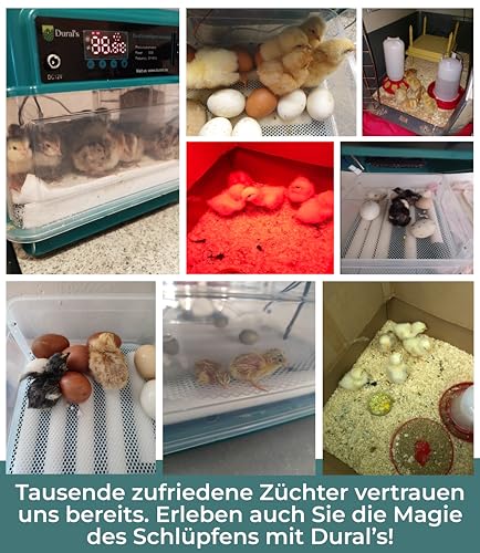 Dural’s Brutmaschine Vollautomatisch für 16 Eier - 2