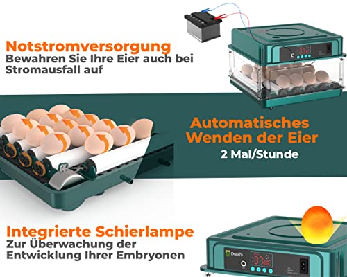 Dural’s Brutmaschine Vollautomatisch für 16 Eier - 4