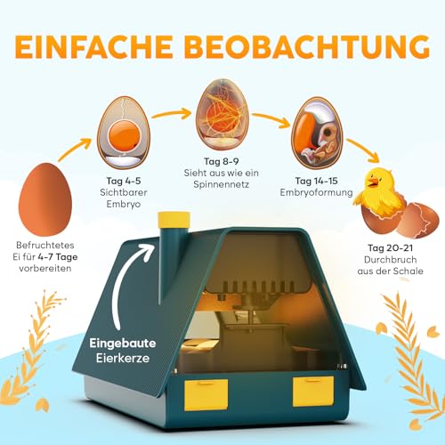 Brutautomat Vollautomatisch für 10 Eier – Okkobi M10 - 4