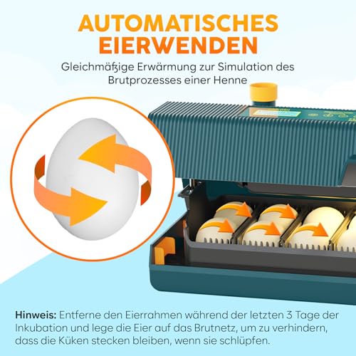 Brutautomat Vollautomatisch für 10 Eier – Okkobi M10 - 5