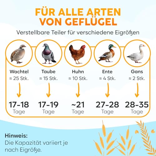 Brutautomat Vollautomatisch für 10 Eier – Okkobi M10 - 6