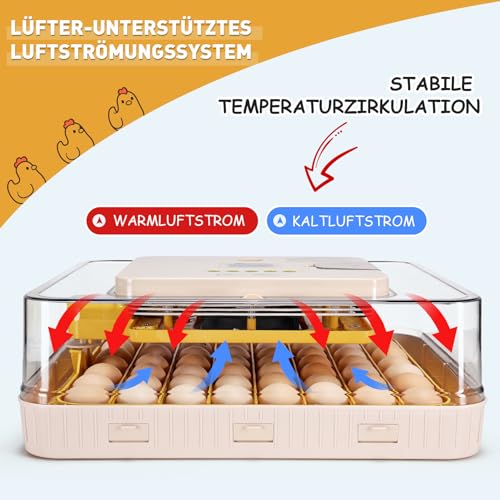 Sailnovo Brutautomat Vollautomatisch für 56 Eier - 3