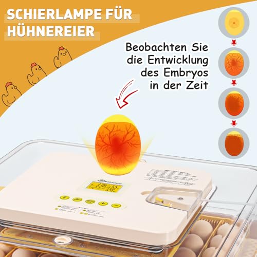 Sailnovo Brutautomat Vollautomatisch für 56 Eier - 5