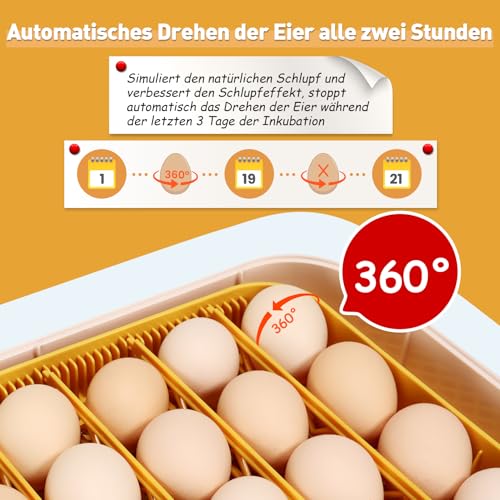 Sailnovo Brutautomat Vollautomatisch für 56 Eier - 6
