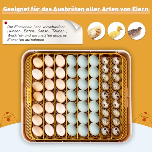 Sailnovo Brutautomat Vollautomatisch für 56 Eier - 7