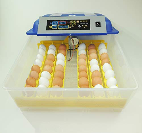 Campo24 V48+2 + Zubehör Motorbrüter für 48 Eier Inkubator vollautomatischer Motorbrüter Incubator - 2