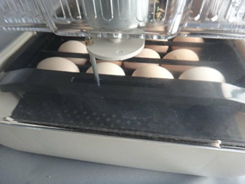 ZJchao (TM) 24 Eier Hühner Inkubator Automatische Turner Geflügel Reptile Hatcher - 5