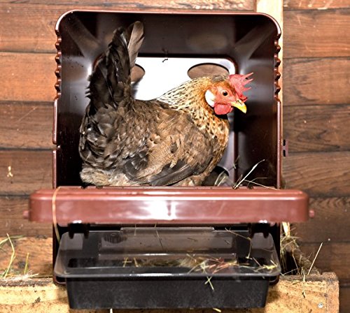 Horizont 34697 Legenest ChickBox aus Kunststoff – sicherer Brutraum für Hühner mit Eierablage - 2