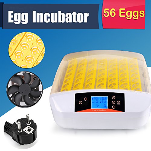 Sailnovo Brutmaschine Vollautomatisch Hühner Eier Brutgerät 24 Eier Brutapparat Eier Inkubator mit Effizienter LED Beleuchtung Hatcher Maschine für Hühnergans Ente Taube Wachtel Vogel 