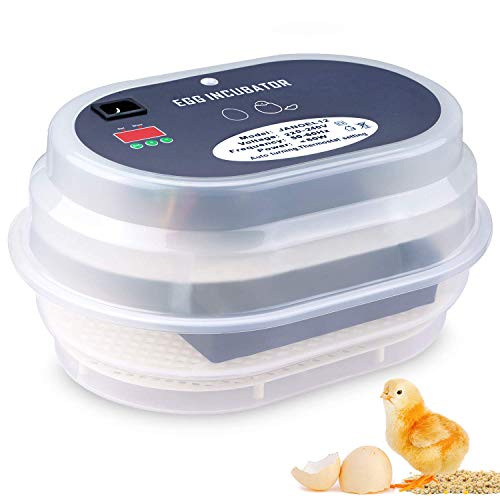9 Eier Mini-Eierbrutkasten Enten Papageien Inkubator-Brutapparat mit automatischer Temperaturregelung Wachteln Geflügel Heimbrutausrüstung für Hühner 