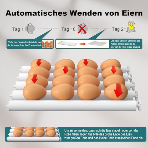 CoInceptus Brutautomat Vollautomatisch - 4